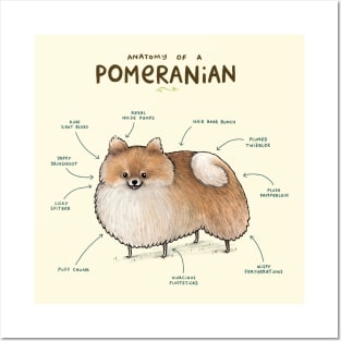 Anatomy of a Pomeranian Posters and Art